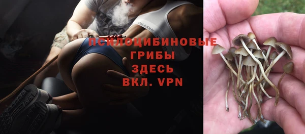 первитин Абинск