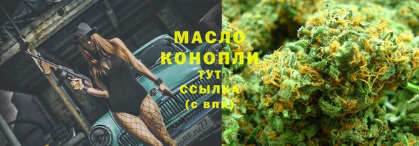 прущие грибы Алексеевка