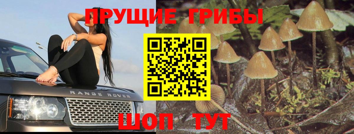 Ливны  Галлюциногенные грибы Psilocybine cubensis  Вход с VPN  Галлюциногенные грибы Psilocybine cubensis 